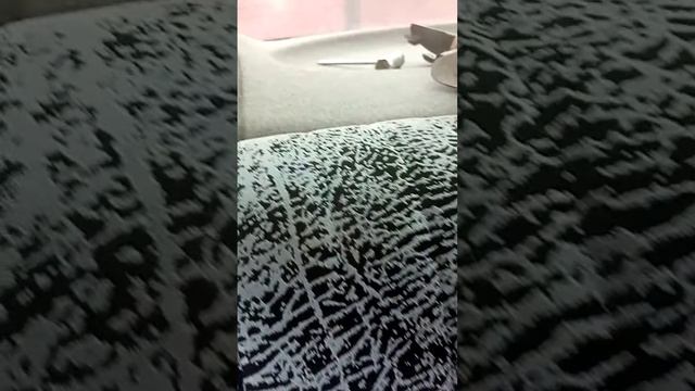 как открыть багажник на форд фокус 1 без ключа