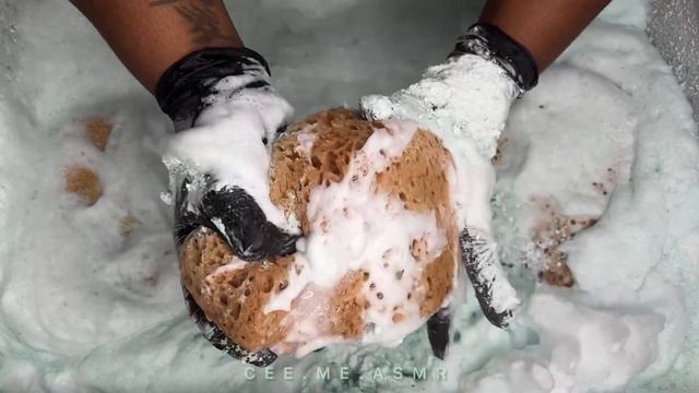 ASMR | PINE PINALEN & COMET POWDER | SATISFYING SPONGE SQUEEZING смотреть онлайн