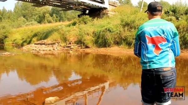 Ловля на приманки Jackall Timon на реках Новгородской области.