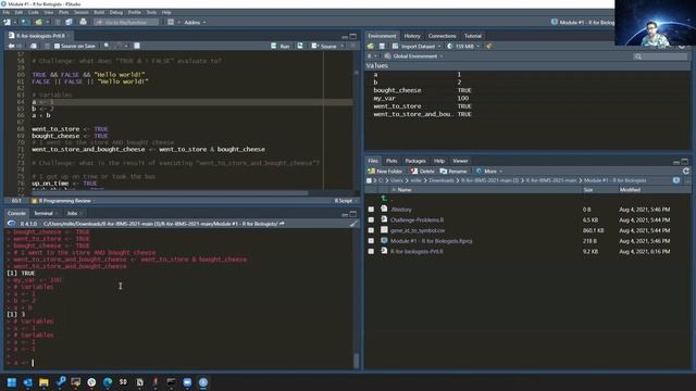 R for Biologists (IBMS Workshop - Part I) смотреть онлайн