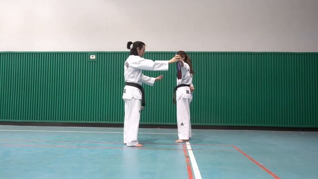 Taekwondo Back Kick, Dwi - Chagi Explain and perform смотреть онлайн
