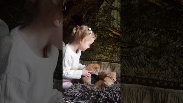 В мире животных 3 года смотреть онлайн