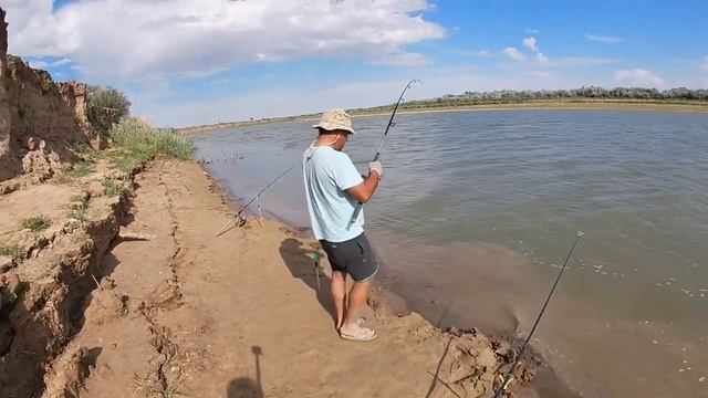 Супер клёв сазана в Атырау