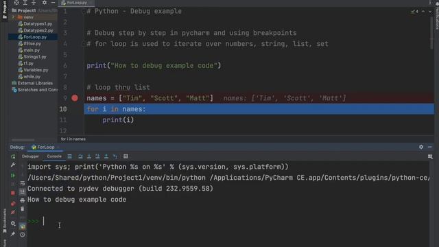 Python PyCharm IDE - How to run in debug mode? Beginner Lesson (#python #pycharm #debugging ) смотреть онлайн