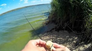 Рыбалка на макуху на Александровском водохранилище. Ловля на макушатник летом.