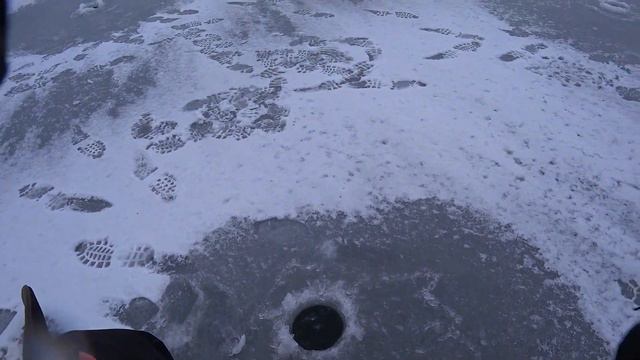 ОТЛИЧНОЕ ОТКРЫТИЕ СЕЗОНА 2021-2022 !!!! ЛОВЛЯ ОКУНЯ !!!!!! смотреть онлайн