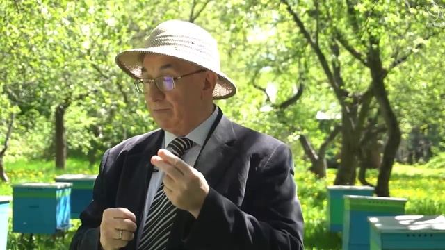 #Абитура | Российский государственный аграрный университет имени Тимирязева смотреть онлайн