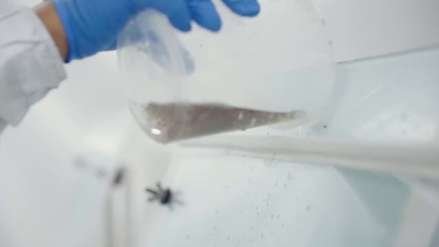 The Mosquito Factory смотреть онлайн