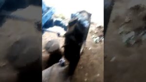 МТЗ . Не много  о сделанном и регулировка давления гидравлики.