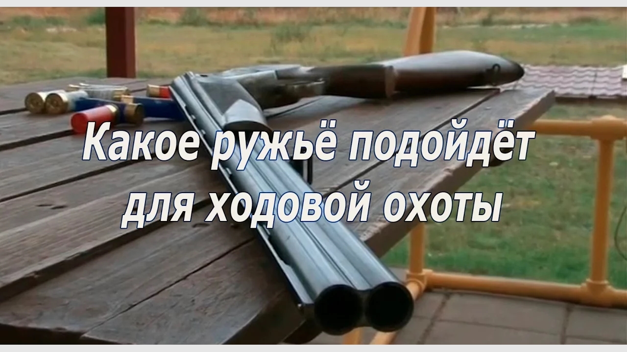 Какое ружьё подойдёт для ходовой охоты - 2021г смотреть онлайн