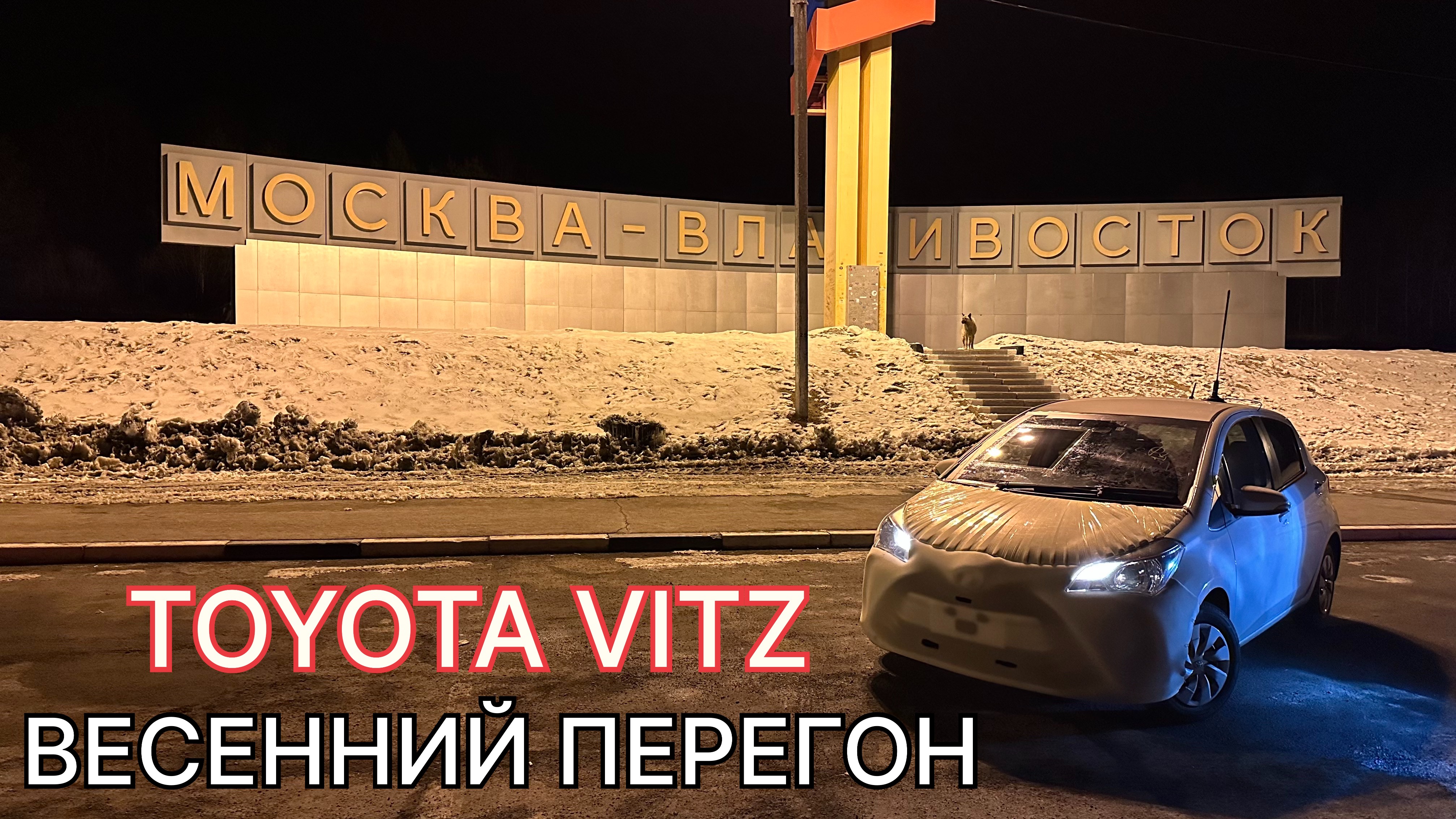 Весенний перегон TOYOTA VITZ