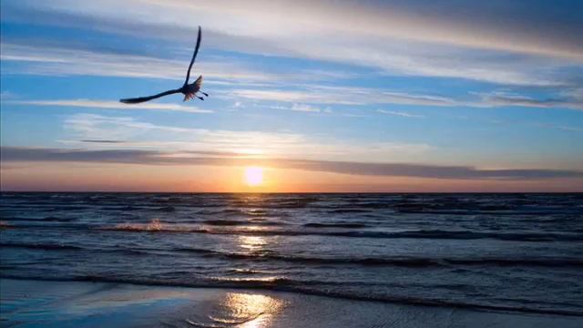 "По мотивам романа #Вениамина Каверина #"ПЕРЕД ЗЕРКАЛОМ". О #художнице Лидии Никаноровой . смотреть онлайн