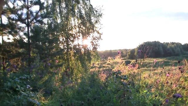 Урочище Богини Тары. Омкар. Окунево. смотреть онлайн