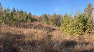 3 ноября 2023 года. Продолжение предыдущего видео. Результат — 109 кг. Исследуем новые места.