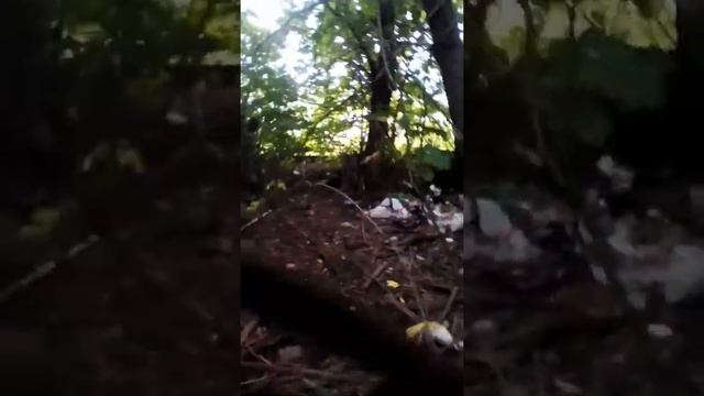 Вызываем Слендермена Шок он пришел смотреть онлайн