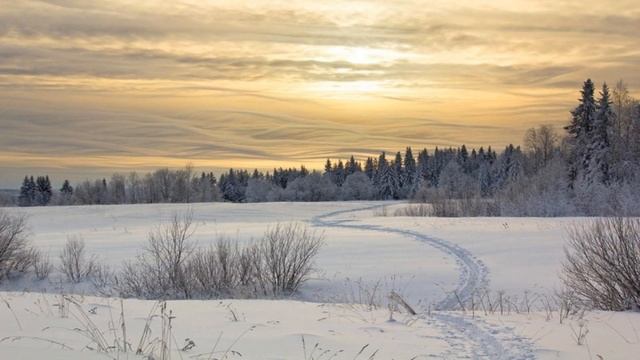 Белый танец зимы | Авторское чтение Ирины Шевчук смотреть онлайн