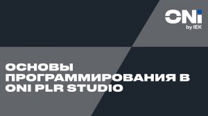 Основы программирования в ONI PLR Studio