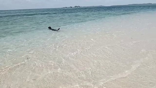 Malaginoan Sand Bar Burdeos Quezon
