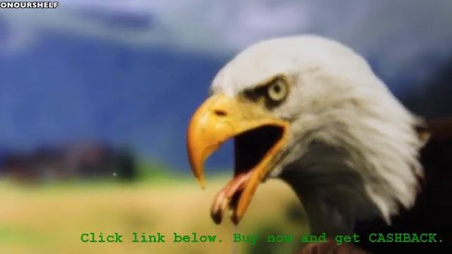 Apple MacBook Pro 13-inch with Retina Display Review смотреть онлайн