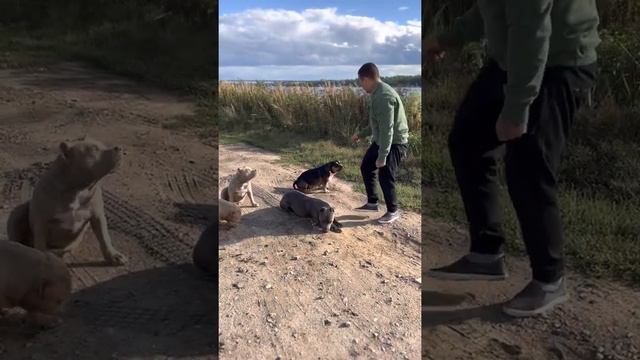 Полноценная мини тренировочная на берегу Волги, красота!) без монтажа смотреть онлайн