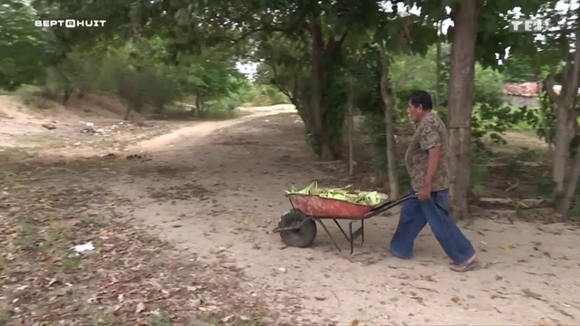 Sept A Huit - Les Voleurs Et Les Tortues