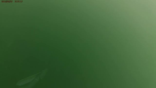 Дайвинг или подводная охота? Тверской карьер. смотреть онлайн