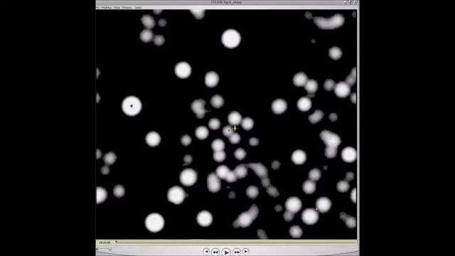 relatività 0128 смотреть онлайн