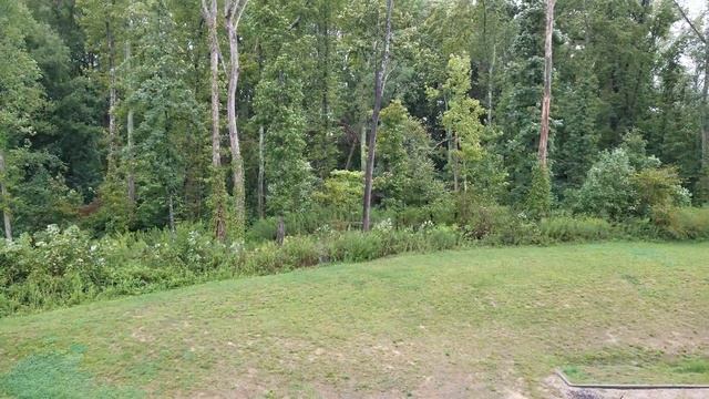 Brave Soldier. First casualty of the Grove. смотреть онлайн