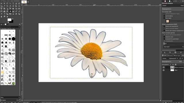 Урок 2 "Создаем логотип в Gimp " смотреть онлайн