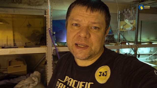 Penosil VS Chemlux смотреть онлайн