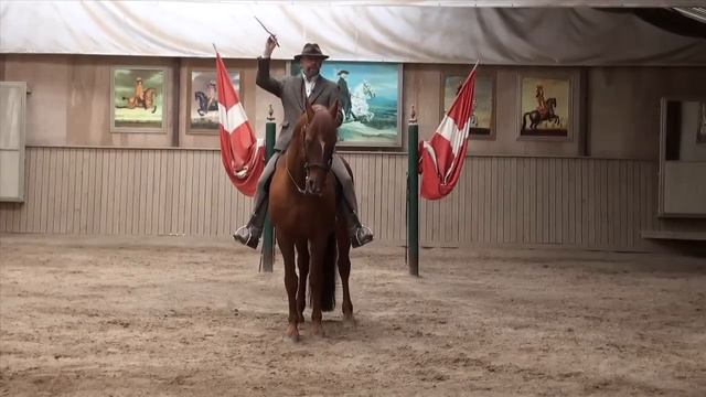 Bent Branderup Videoshop - Quarter-in