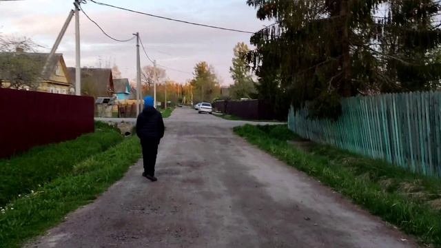 #20 мая пересадила мяту смотреть онлайн