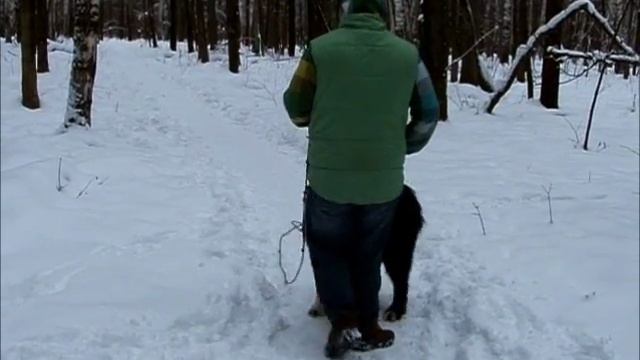 Никольское экологическое поселение. Январь 2014. смотреть онлайн