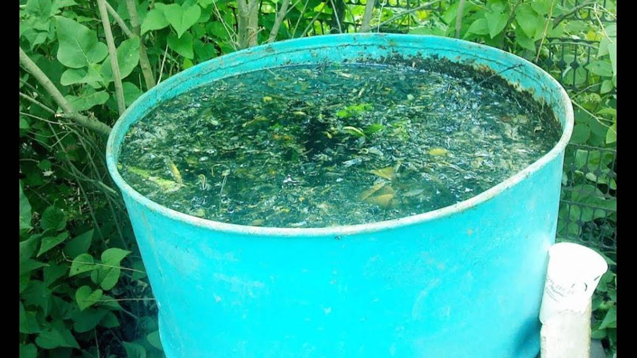 ПОЛЕЗНЫЕ СОВЕТЫ