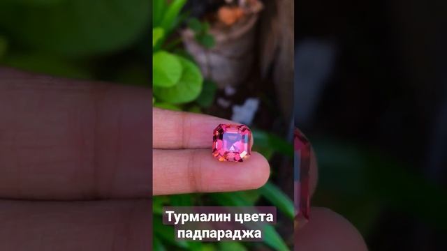 Турмалин цвета падпараджа, цена в описании смотреть онлайн