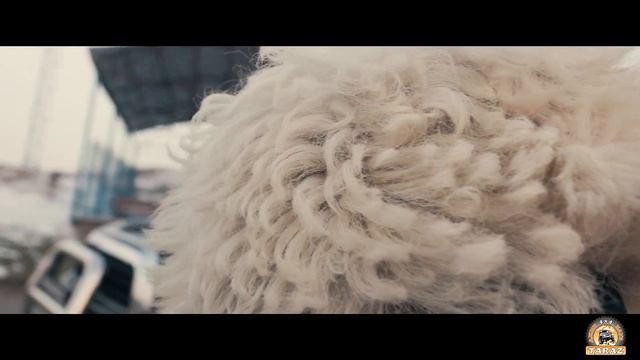 ЕДЕМ НА КУБОК МАСЛОВА/ПРОМО