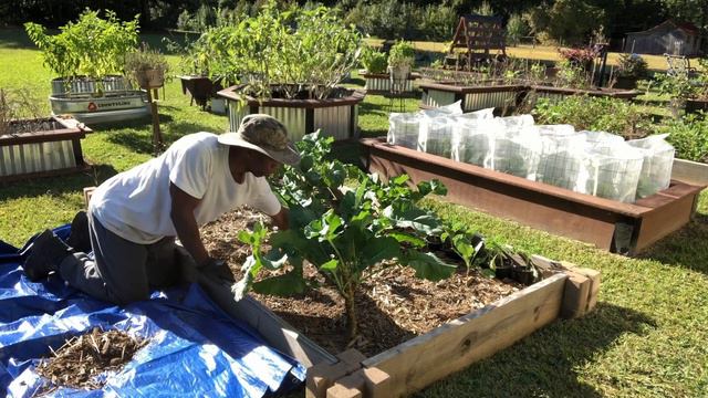 How to make the best soil amendments for your garden #gardening #garden #compost смотреть онлайн