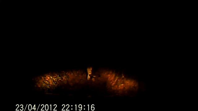 Поездка в Чувашию на озеро Ковырлово смотреть онлайн