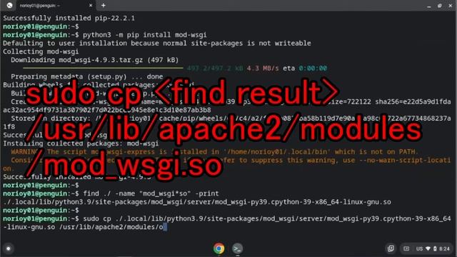 Run Python with Apache on Chromebook Linux смотреть онлайн