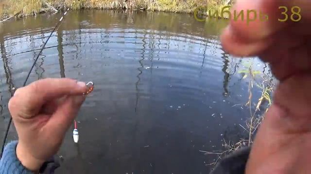 Рыбалка на хариуса в сентябре!!! Готовим Сагудай или Хе его знает))) смотреть онлайн