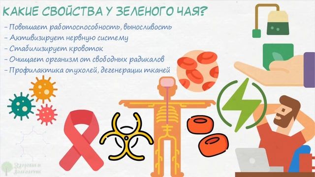 Что творит зеленый чай с сосудами, кровью, мозгом, мочевым, ЖКТ и даже... смотреть онлайн