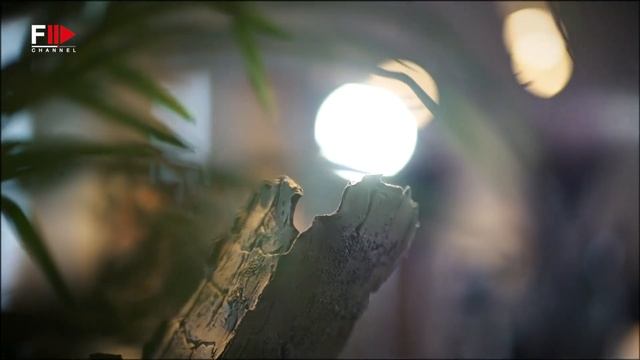 ITALIAN LIFE STYLE in Forte dei Marmi - Fashion Channel Chronicle смотреть онлайн