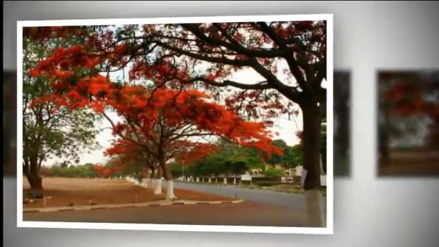 Город Лусака! столица Замбии!! Lusaka! The Capital Of Zambia !!