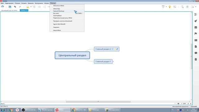 Обучающий курс по Ментальным картам. Урок № 2 - Обзорный часть 2