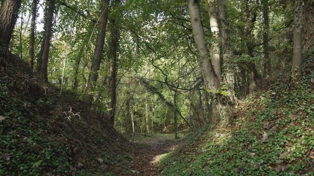 Зачем приходят домовые смотреть онлайн