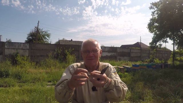 Подсадка матки Как матке пчел повезло смотреть онлайн