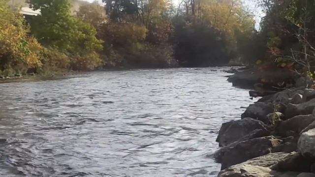 I Spent A Day At Riverfront!!!! смотреть онлайн