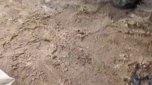 поворотный кулак УРАЛ. уход, т.о.