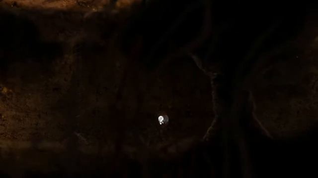 AntVentor; Прохождение, Часть 1 смотреть онлайн