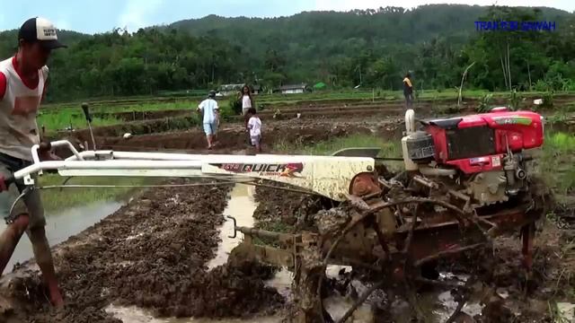 Traktor Sawah Quick G3000 ZEVA and Diesel Kubota RD85DI-2s смотреть онлайн